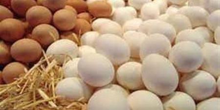 منتجى
      الدواجن:
      تراجع
      أسعار
      بيض
      ...