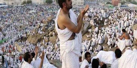 تفاصيل
      إستعدادات
      بعثة
      الحج
      المصرية
      لموسم
      الحج
      لعام
      1446هـ