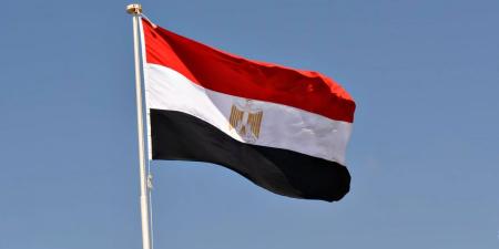 مصر ترحب بإعلان وقف إطلاق النار بين الهند وباكستان