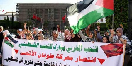 محتجون
      مغاربة
      يدعمون
      "صمود
      غزة"
      أمام
      التقتيل
      بالمجازر
      والتجويع