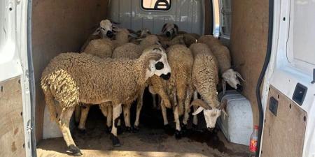 درك
      ابن
      جرير
      يوقف
      نشاط
      "عنابة"