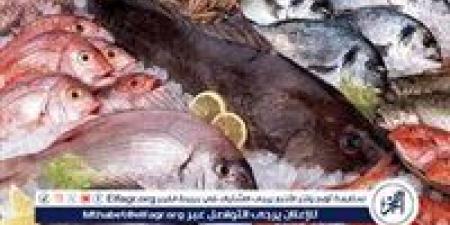 تعرف
      على
      أسعار
      الأسماك
      اليوم
      الأحد
      الموافق
      11-5-2025
      فى
      سوهاج