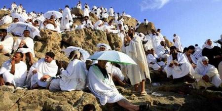 تفاصيل
      استضافة
      1000
      حاج
      من
      ذوي
      الشهداء
      والأسرى
      والجرحى
      الفلسطينيين