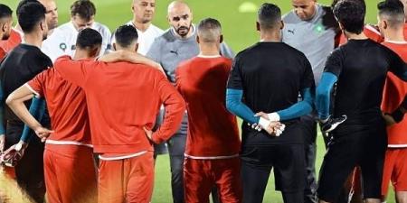 تداريب خاصة للأسود قبل يونيو
