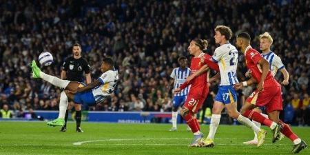 برايتون يفوز على ليفربول في الدوري الإنجليزي