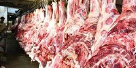 شعبة
      القصابين
      توضح
      أسعار
      لحوم
      الأضاحي