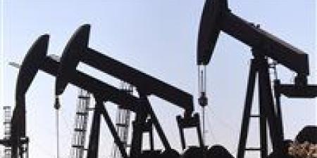 64.90
      دولار
      للبرميل..
      4
      عوامل
      تهبط
      بأسعار
      النفط
      عالميًا
      وسط
      قلق
      اقتصادي