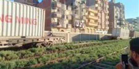 انحراف
      7
      عربات
      قطار
      بضائع
      أمام
      شربين
      دون
      خسائر
      بشرية