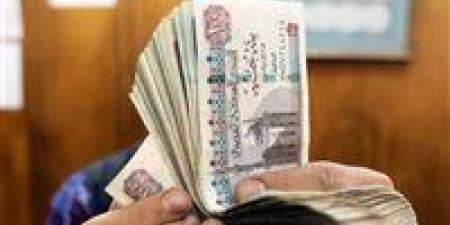 700
      جنيه..تعرف
      على
      قيمة
      الحافز
      الإضافي
      للعاملين
      بالدولة
      وفقاً
      للقانون
      الجديد