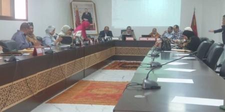 مستشارة جماعية تسأل عن مصير مراسلة عامل الاقليم في شأن سيارات بتارودانت