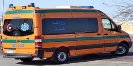 التحقيق في مصرع فتاة صدمتها سيارة أثناء عبور الطريق بالسلام