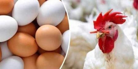 أسعار
      الدواجن
      اليوم
      الأحد
      8
      يونيو
      2025