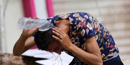 شبورة مائية كثيفة.. الأرصاد تحذر من حالة الطقس في مصر رابع أيام عيد الأضحى