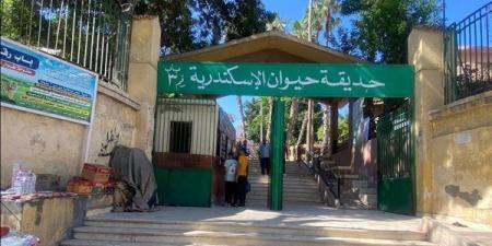 حدائق
      الحيوان
      الإقليمية
      والأسماك
      بالزمالك
      تستقبل
      38
      ألف
      زائر
      بأول
      يومين
      للعيد