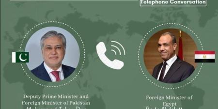 وزير
      خارجية
      باكستان
      يهنئ
      عبد
      العاطي
      بعيد
      الأضحى