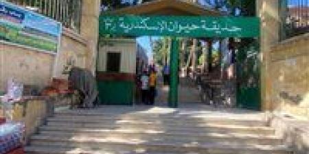 الزراعة:
      حدائق
      الحيوان
      الإقليمية
      والأسماك
      بالزمالك
      استقبلت
      أكثر
      من
      38
      ألف
      زائر
      خلال
      أول
      يومين
      للعيد