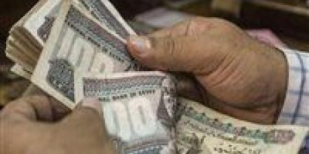 للموظفين
      وأصحاب
      المعاشات..
      موعد
      أول
      صرف
      للمرتبات
      بالزيادة
      الجديدة