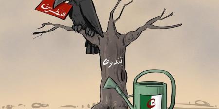 التطرف
      في
      تندوف