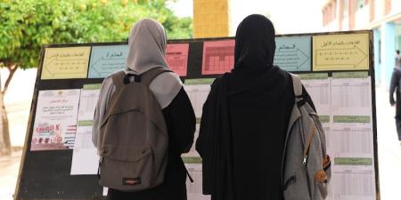 بناني
      تتصدر
      "باك"
      جهة
      الرباط:
      19,61