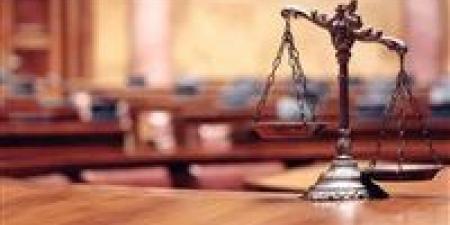 تأجيل
      محاكمة
      61
      متهمًا
      في
      قضية
      "اللجان
      النوعية
      بالتجمع
      الخامس"
      للمرافعة