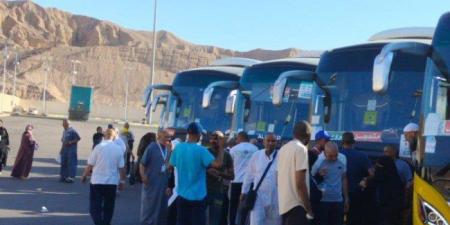 مصر..
      عودة
      55%
      من
      الحجاج
      عبر
      البر
      وتوجيه
      بالإسراع
      في
      استكمال
      رحلات
      العودة