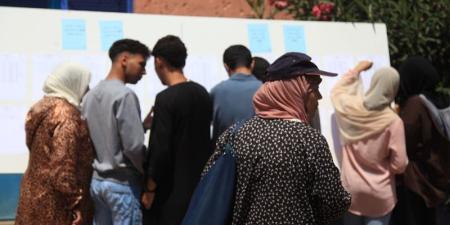 أكاديمية
      مراكش
      تنوه
      بجهود
      الباك