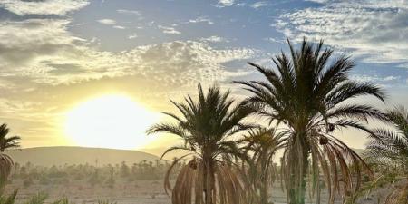 توقعات
      طقس
      اليوم
      الاثنين
      بالمغرب