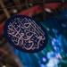 "نادي
      دبي
      للصحافة"
      يحتفي
      بالفائزين