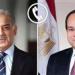 الرئيس
      السيسي
      يتلقى
      اتصالًا
      هاتفيًا
      من
      رئيس
      وزراء
      باكستان
      للتهنئة
      بالعيد