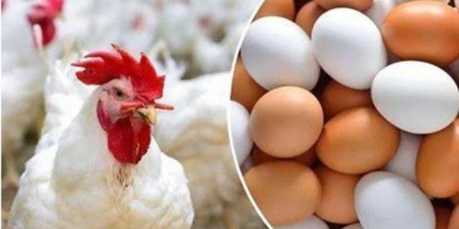 أسعار
      الدواجن
      والبيض
      في
      مصر
      اليوم..
      الجمعة
      9
      مايو
      2025