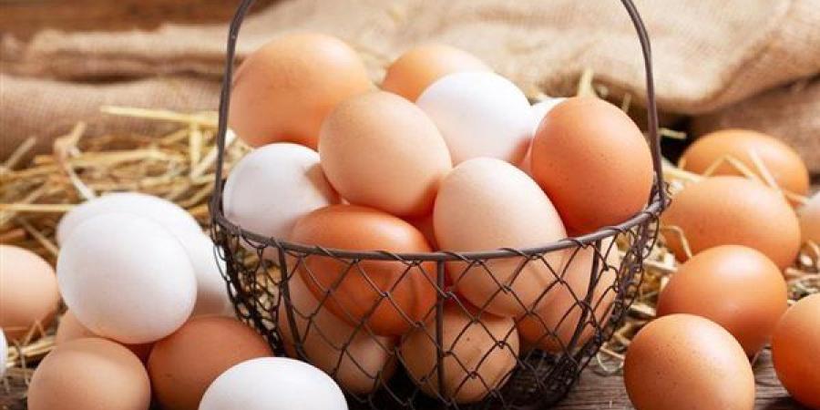 شعبة
      بيض
      المائدة:
      سعر
      الطبق
      داخل
 ...