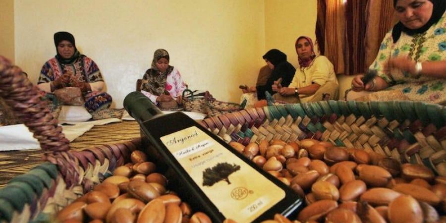 شجر
      الأركان
      المغربي
      يقاوم
      تحديات
      الجفاف
      والرعي
      الجائر
      والتوسّع
      الحضري