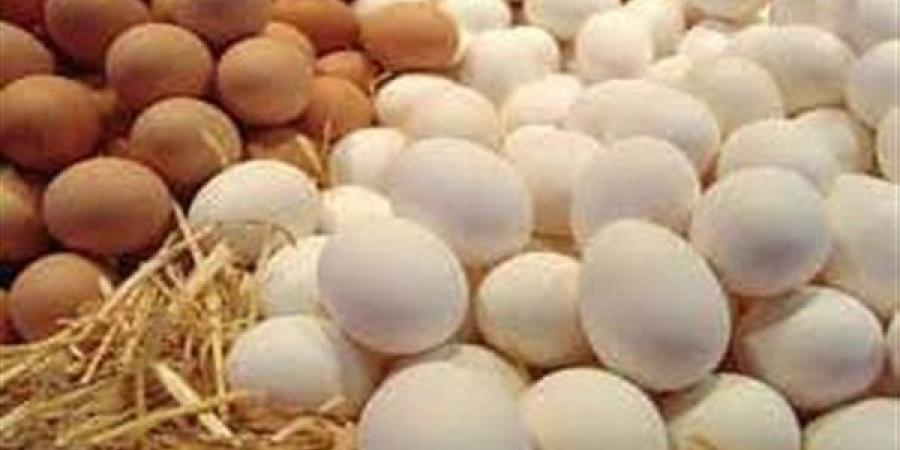 منتجى
      الدواجن:
      تراجع
      أسعار
      بيض
      ...