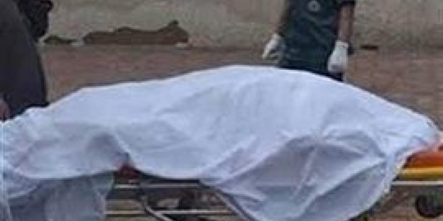 سوهاج..
      غرق
      مهندس
      بترعة
      الكسرة
      بالبلينا