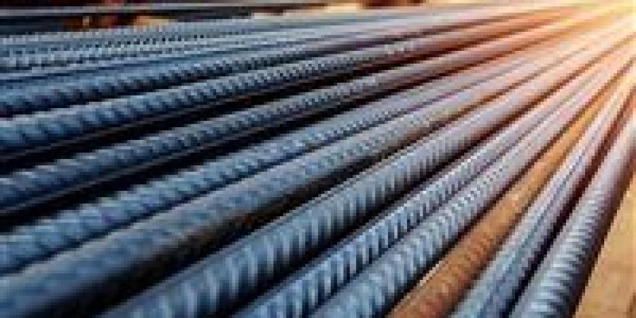 رغم
      تراجع
      معدلات
      البناء...
      كيف
      تغيرت
      أسعار
      مواد
      البناء
      خلال
      عام؟