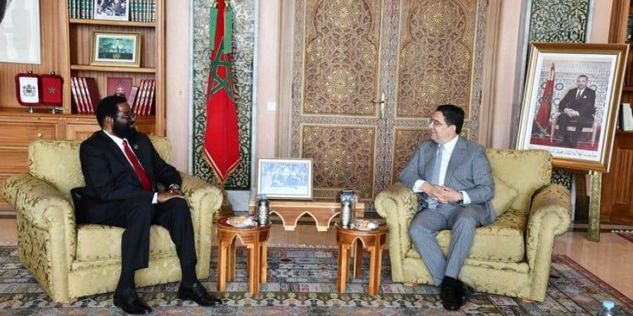 بوريطة
      يستقبل
      مسؤولا
      ببرلمان
      غانا