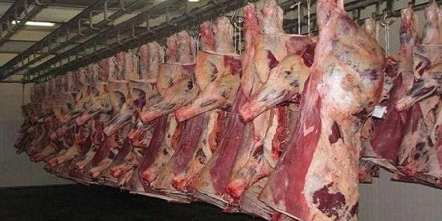 أسعار
      اللحوم
      الحمراء
      اليوم
      الإثنين
