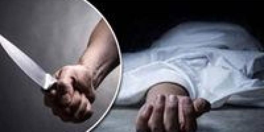 فنلندا:
      إصابة
      3
      طلاب
      في
      هجوم
      ...