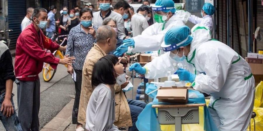 منظمة
      الصحة
      تقر
      "اتفاقية
      الجوائح"