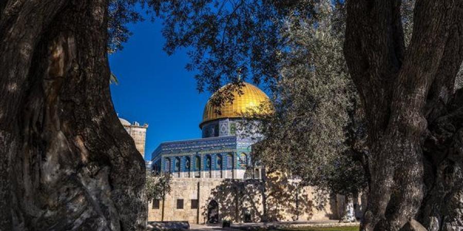 موضوع
      تعبير
      عن
      القدس..
      مقدمة
      وعرض
      وخاتمة
