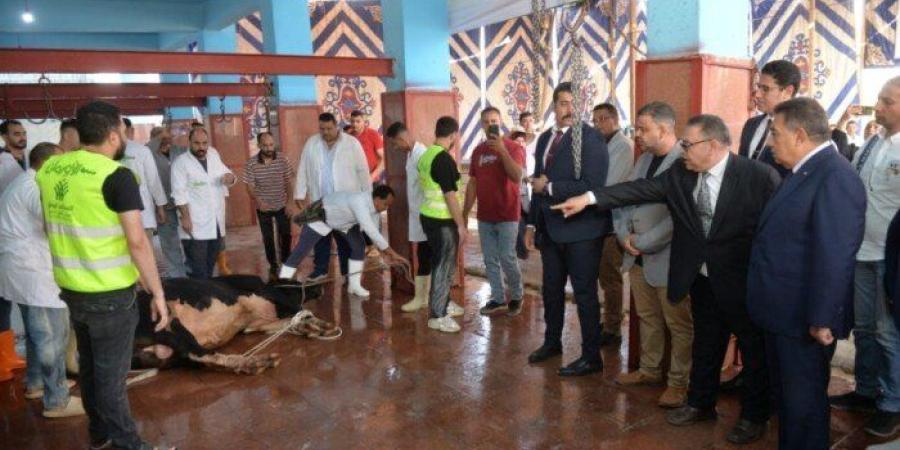 محافظ
      الدقهلية
      يشهد
      ذبح
      الأضاحي
      بمجزر
      طنامل
      ويؤكد
      على
      سلامة
      اللحوم
      ووصولها
      للمستحقين