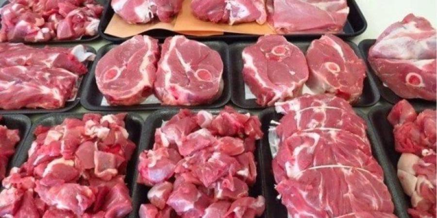 الضأن
      بـ
      400..
      أسعار
      اللحوم
      اليوم
      الجمعة
      6
      يونيو
      2025