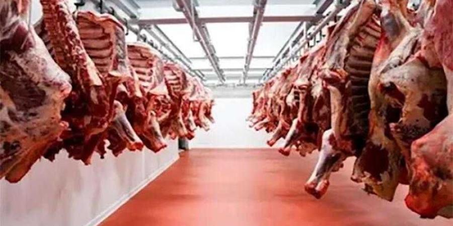 مجازر
      القاهرة
      تفتح
      أبوابها
      مجانا
      لذبح
      الأضاحي
      طوال
      أيام
      العيد
