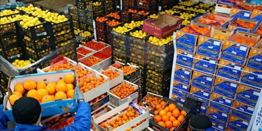 بـ130
      مليون
      دولار..
      شوف
      الفرص
      ...