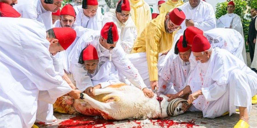 أمير
      المؤمنين
      الملك
      محمد
      السادس
      يؤدي
      صلاة
      عيد
      الأضحى
      في
      تطوان
