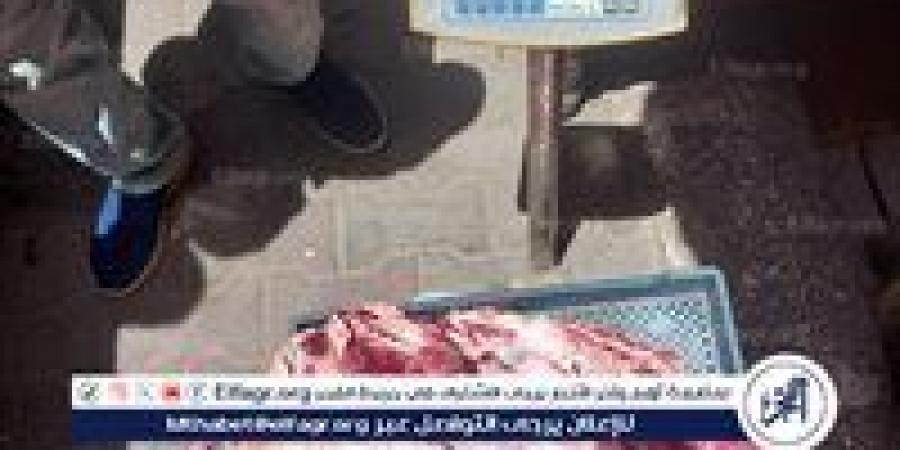 ضبط
      لحوم
      مذبوحة
      خارج
      المجازر
      الحكومية
      وتحرير
      317
      محضرًا
      تموينيًا
      بأسيوط