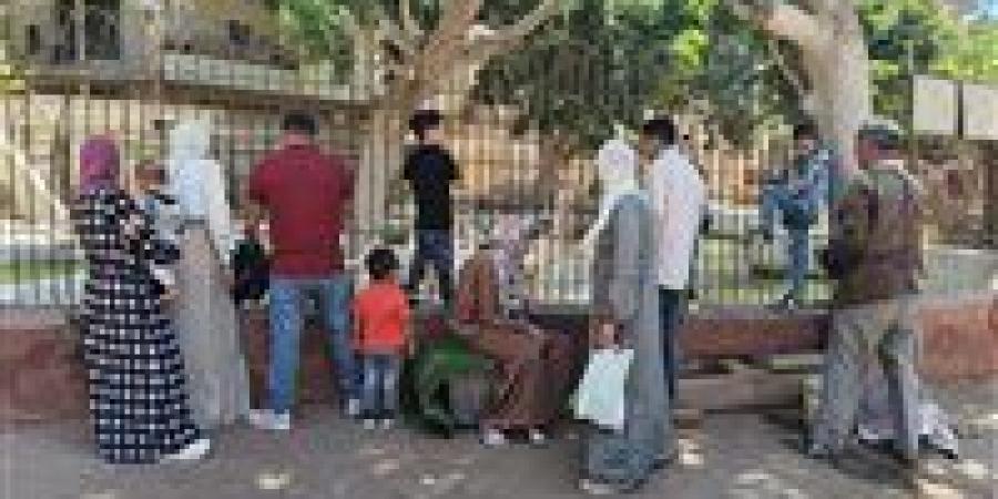 بسبب
      حرارة
      الجو..أٌقبالا
      متوسطا
      على
      حديقة
      حيوان
      الفيوم
      فى
      ثانى
      أيام
      عيد
      الاضحى
      المبارك