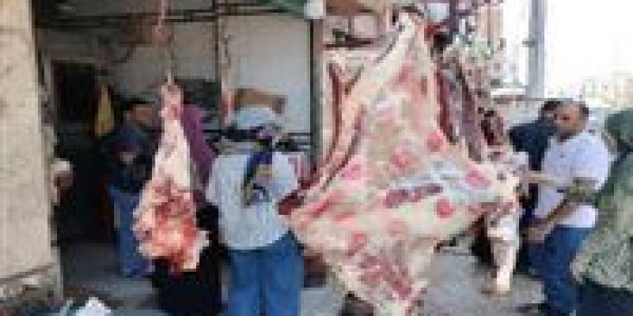 مجانا..
      المجازر
      الحكومية
      بأسوان
      تستمر
      في
      ذبح
      الأضاحي