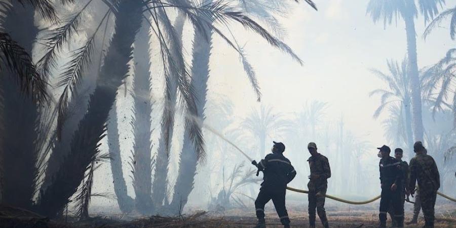 شبح
      الحرائق
      يطارد
      واحات
      الجنوب
      الشرقي..
      تهميش
      يهدد
      التنوع
      البيولوجي