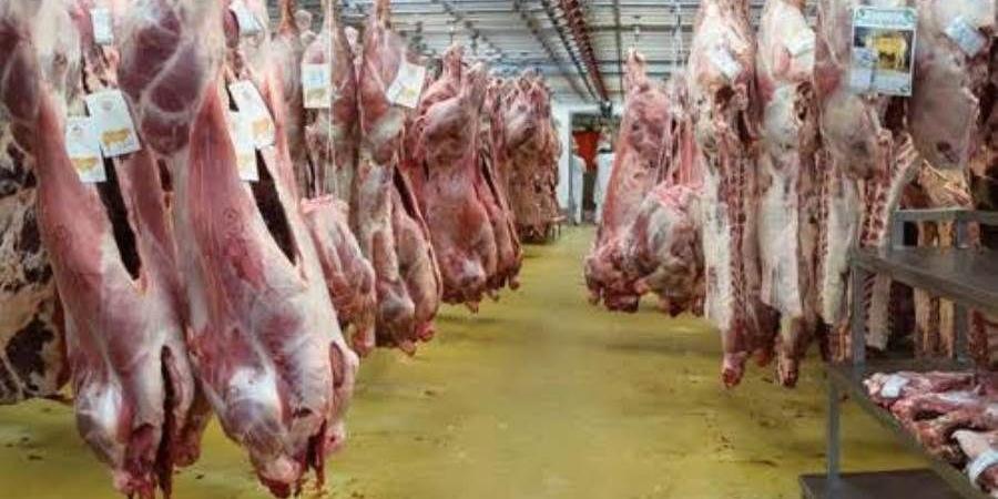 «الزراعة»
      :
      ذبح
      أكثر
      من
      20
      ألف
      أضحية
      بالمجازر
      الحكومية
      خلال
      أول
      يومين
      لعيد
      الأضحى
      المبارك